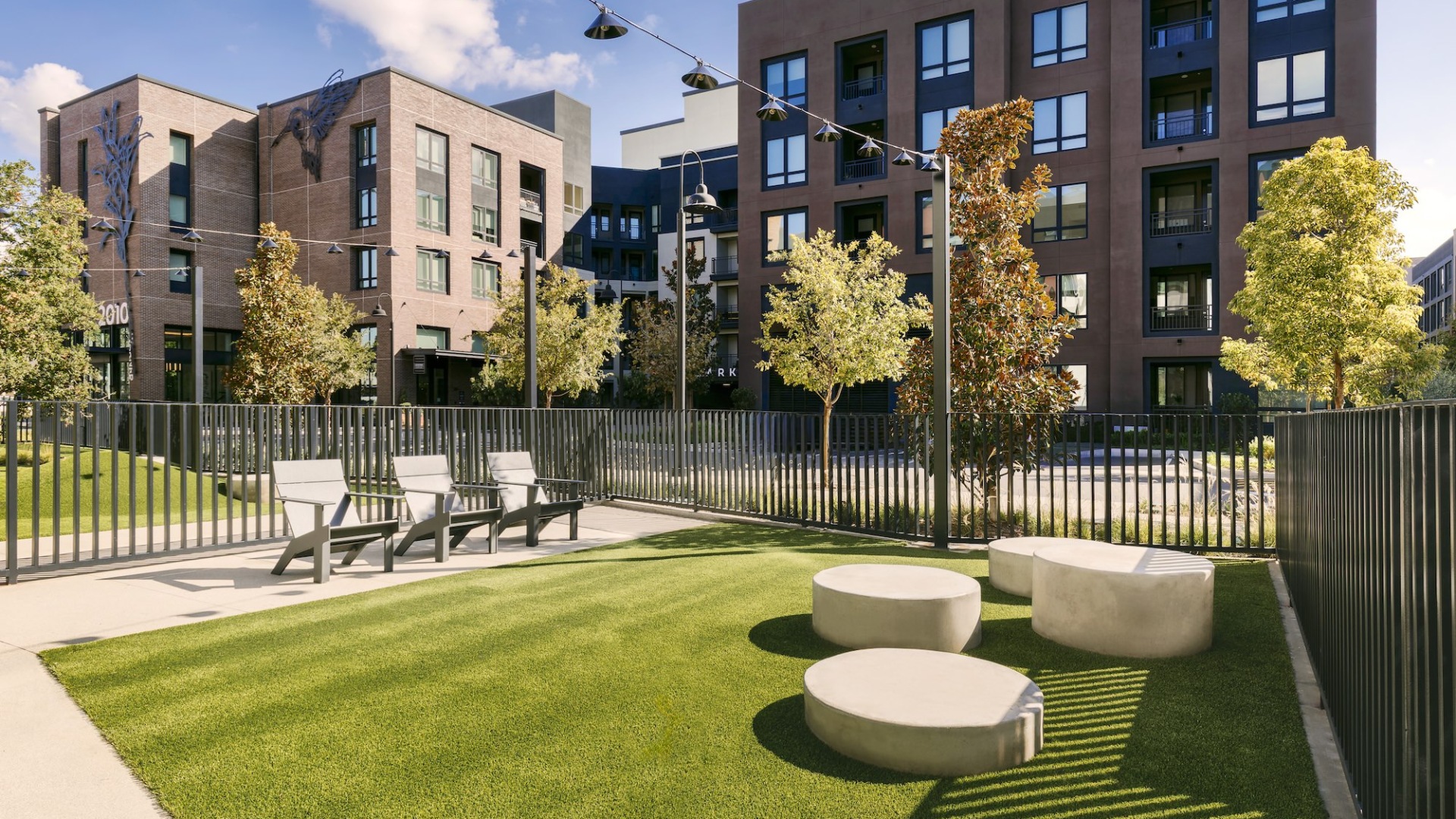 a fenced-in dog park