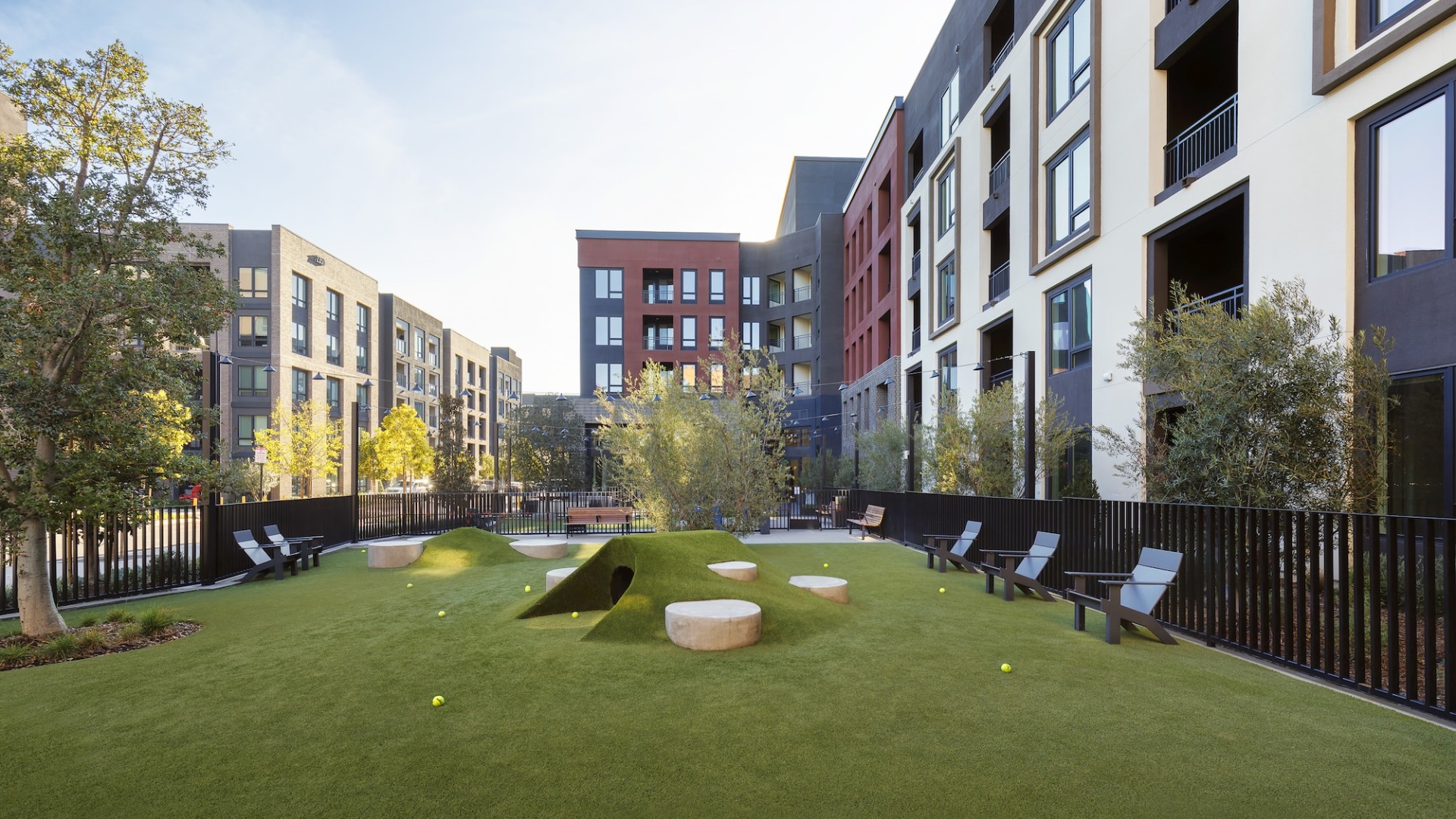 a fenced-in dog park