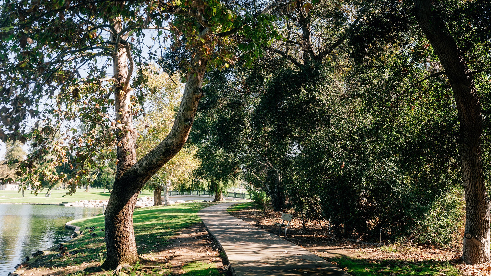 local park 